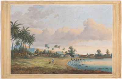 Cara a Cravo Java de Charles William Meredith van de Velde