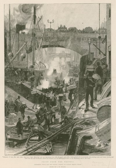Fruta dos trópicos (gravura) de Charles William Wyllie