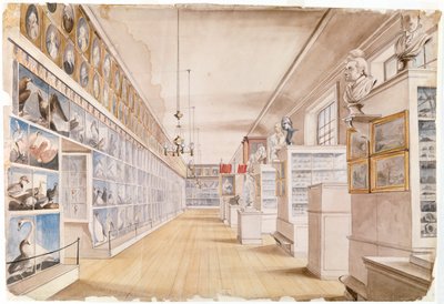 O Quarto Longo, Interior da Sala da Frente no Museu de Peales, 1822 (wc sobre grafite sobre papel) de Charles Willson Peale
