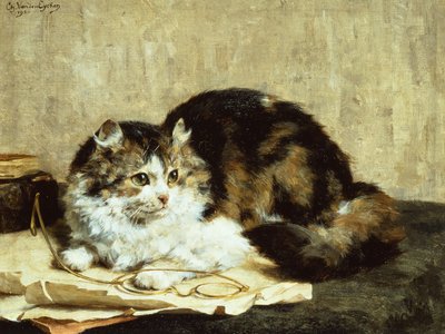 Um gato tabby de Charles van den Eycken