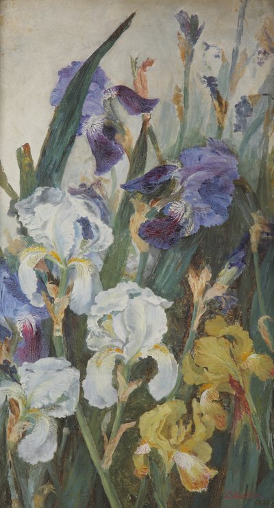 Íris, 1882 de Charlotte Hodder