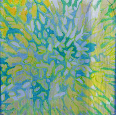 Acrapora, 2000 (óleo no gesso) de Charlotte Johnstone