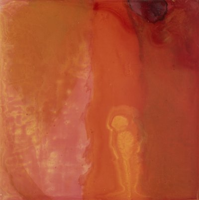 Peixe de Queijo, 1997 (óleo e esmalte na placa gesso) de Charlotte Johnstone