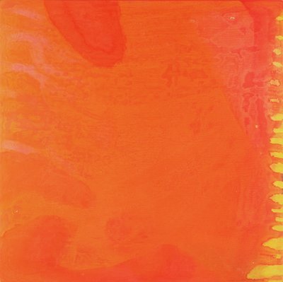 Coelho Laranja, 1997 (óleo e esmalte na placa gesso) de Charlotte Johnstone