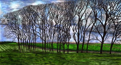Cushendun, Irlanda do Norte, 2020 de Charlotte Orr