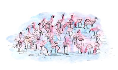 Flamingos 2, 2018 (tinta e aquarela) de Charlotte Orr