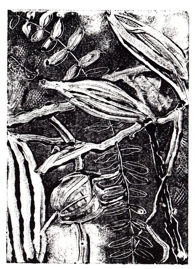 Inky Plants, 2019 (monoprint) de Charlotte Orr