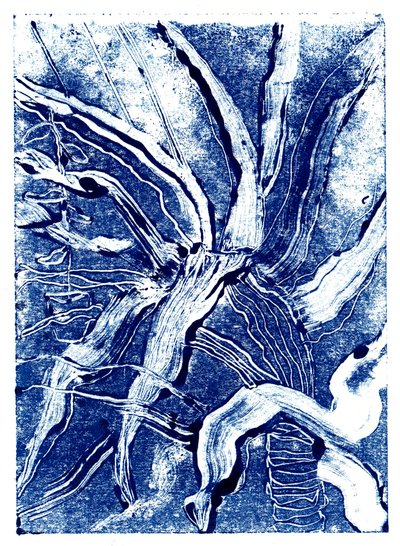 Inky Plants nº 2, 2019 (monoprint) de Charlotte Orr