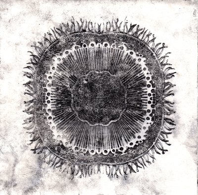 Células vegetais, 2019 (gravura de ponto seco) de Charlotte Orr