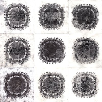 Células vegetais, 2019 (gravura de ponto seco) de Charlotte Orr