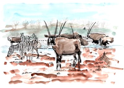 Safari, 2018 (tinta e aquarela) de Charlotte Orr