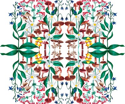Plantas Selvagens, 2015 acrílico de Charlotte Orr