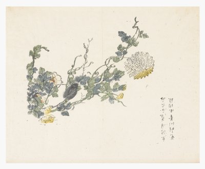Jardim de sementes de mostarda de Chen Chung Jan (after)