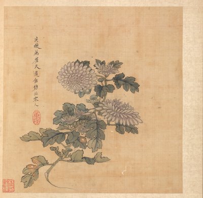 Pinturas após antigos mestres: Crisântemo de Chen Hongshou