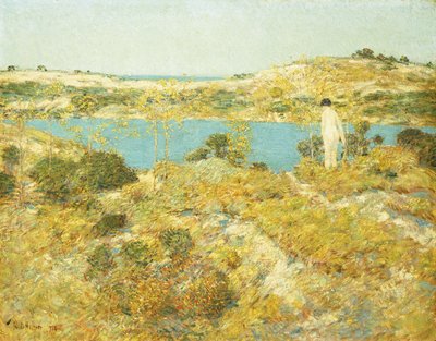 Piscina das Dunas de Childe Frederick Hassam