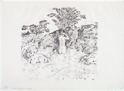 Cerejeira brava de Childe Frederick Hassam