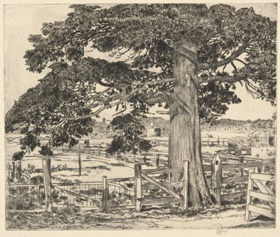 Big Cedar, Wainscott, L. I., 1929 de Childe Hassam
