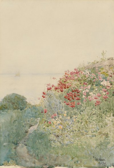 Campo de papoulas, ilhas de cardumes de Childe Hassam