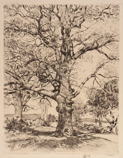 Pousada Wayside Oaks na primavera de Childe Hassam