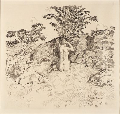 Cerejeira selvagem de Childe Hassam