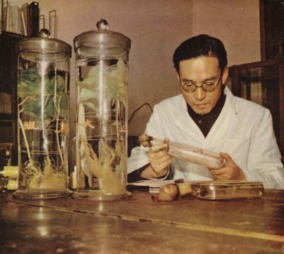 Químico agrícola chinês do Instituto de Pesquisa de Changchun, República Popular da China, década de 1950 de Chinese Photographer