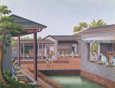 Chá de classificação (wc no papel) de Chinese School