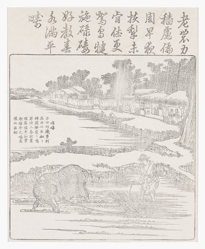 Roendo o arrozal, século 18 de Chinese School