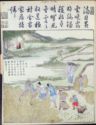 Colheita, a cultura do arroz na China (impressão em xilogravura a cores) de Chinese School