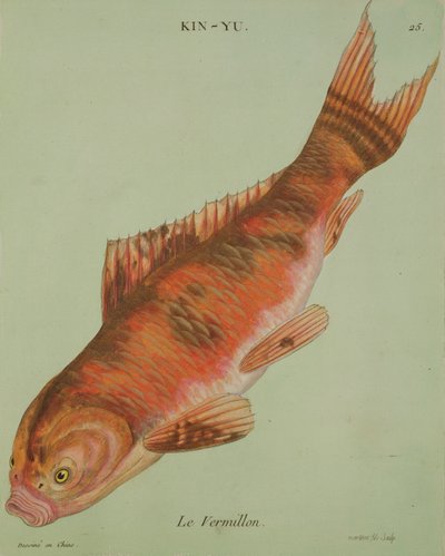O vermelhão, gravado por Francois Nicholas Martinet (1731-p.1796) (impressão) de Chinese School
