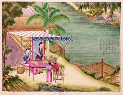 Ms 202 f.6 Classificando os Casulos, de um livro sobre a indústria da seda (wc no papel) de Chinese School