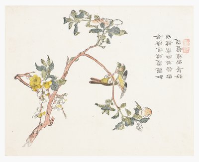 Jardim de Sementes de Mostarda de Chinese School