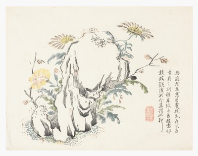 Jardim de Sementes de Mostarda de Chinese School