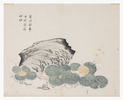 Jardim de Sementes de Mostarda de Chinese School