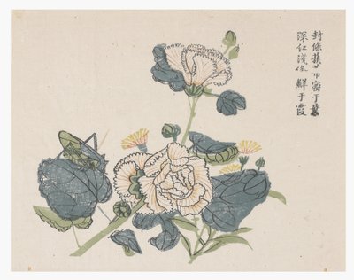 Jardim de Sementes de Mostarda de Chinese School
