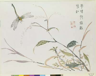 Jardim de Sementes de Mostarda de Chinese School