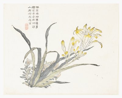 Jardim de Sementes de Mostarda de Chinese School