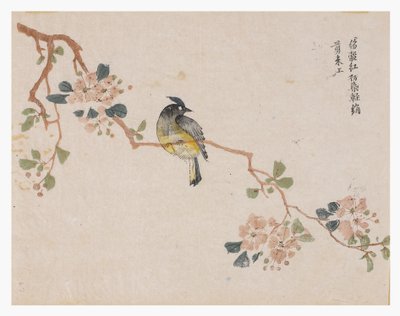 Jardim de Sementes de Mostarda de Chinese School