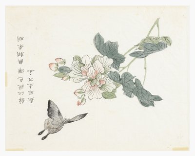 Jardim de Sementes de Mostarda de Chinese School