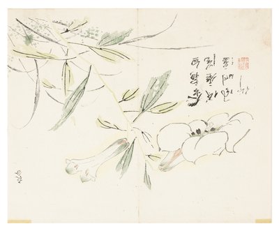 Jardim de Sementes de Mostarda de Chinese School