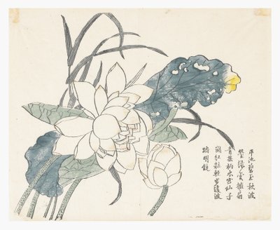 Jardim de Sementes de Mostarda de Chinese School
