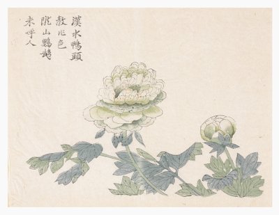 Jardim de Sementes de Mostarda de Chinese School