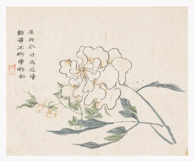 Jardim de Sementes de Mostarda de Chinese School