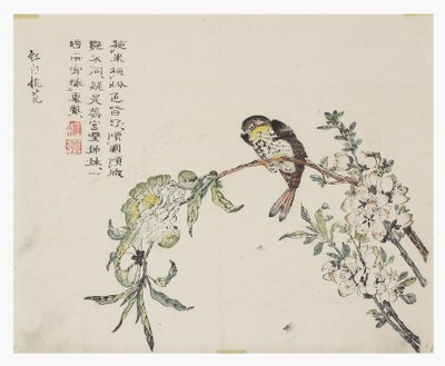 Jardim de Sementes de Mostarda de Chinese School
