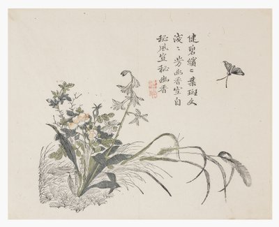 Jardim de Sementes de Mostarda de Chinese School
