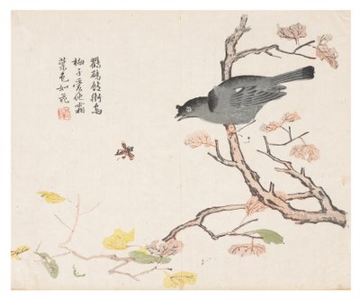 Jardim de Sementes de Mostarda de Chinese School