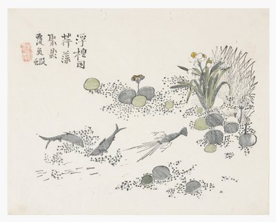 Jardim de Sementes de Mostarda de Chinese School
