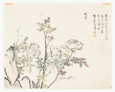 Jardim de sementes de mostarda de Chinese School