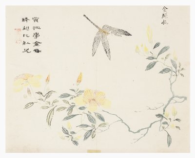 Jardim de sementes de mostarda de Chinese School