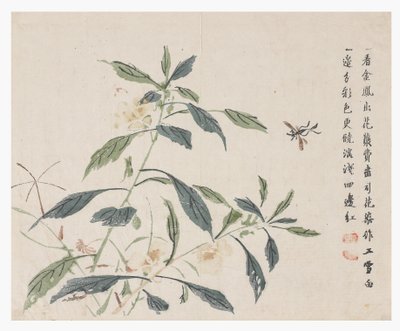 Jardim de sementes de mostarda de Chinese School