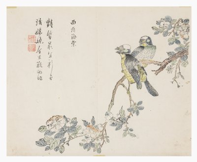 Jardim de sementes de mostarda de Chinese School